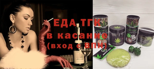 амф Верхний Тагил