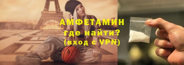 амф Верхний Тагил
