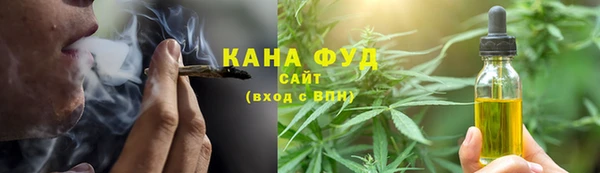 амф Верхний Тагил