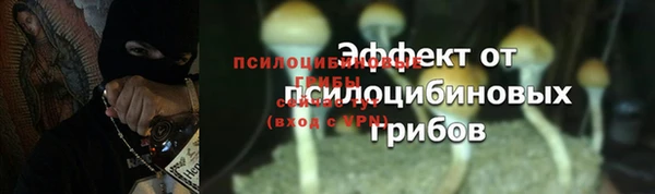 амф Верхний Тагил