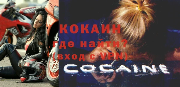 амф Верхний Тагил