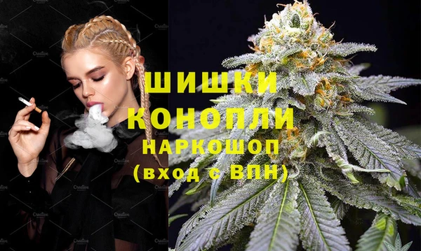 ПСИЛОЦИБИНОВЫЕ ГРИБЫ Верея