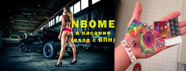 ПСИЛОЦИБИНОВЫЕ ГРИБЫ Верея